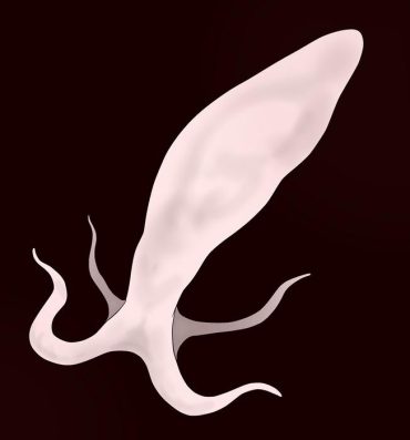Toy Sperm Creature on Male- Original hentai Web Cam