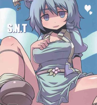 Sex Toys S.N.T- Touhou project hentai Clothed