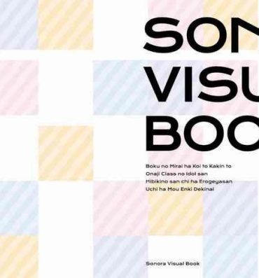 Pack Sonora Visual Book Danish